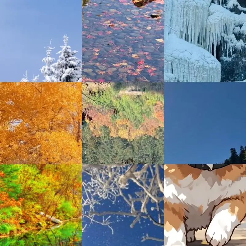 

Tablet Handed Grip Strap Holder Universal Tablet Grip Strap Hand Holder Tablet Handle Hand Holder for 6-8 Inch Kindle Tablet