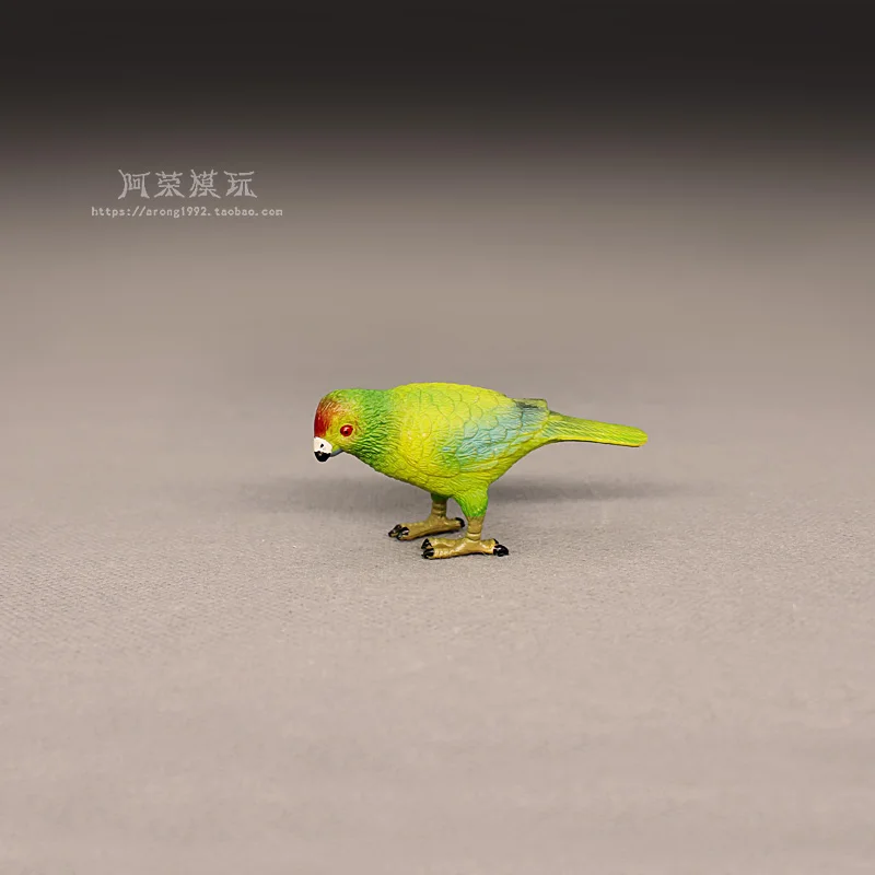 Cognitive Simulation Toy Wildlife Model Parakeet Macaw Action Figures Miniature Ornament Accessories Car Interior Desktop Toys