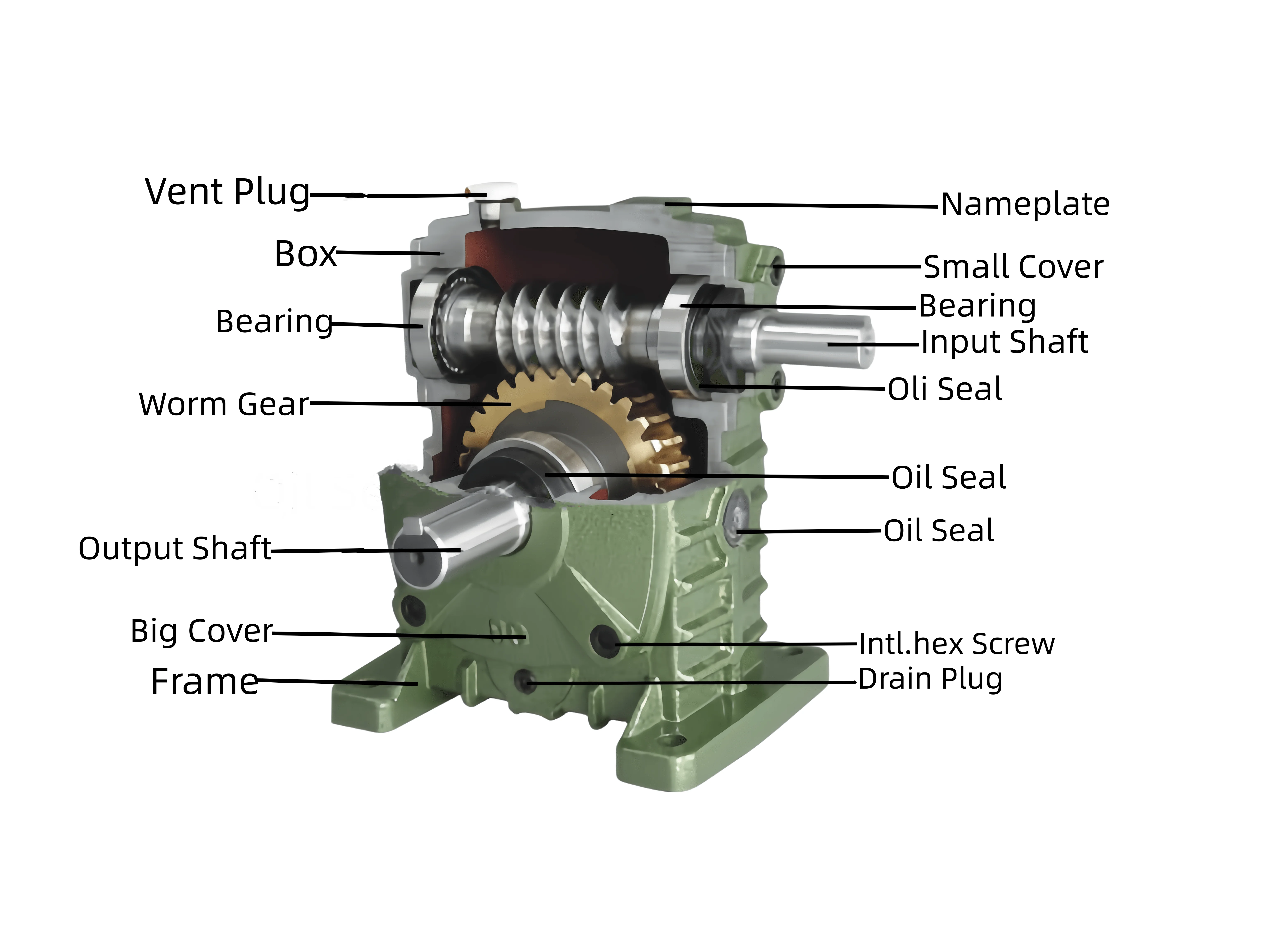 WPA Worm Sight Small Gear Box Reducer