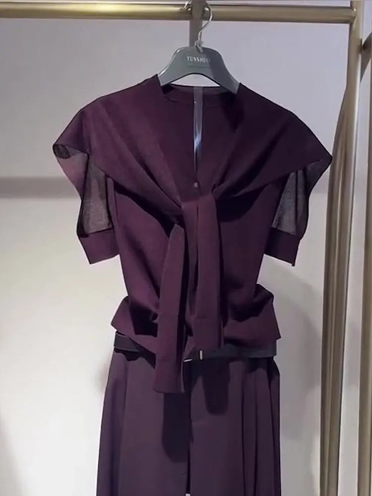 

Elegant Berry Color Short Sleeve Knitted Top Summer Soft Waist Cinching Versatile Fashionable Korean Style Women's Shirt
