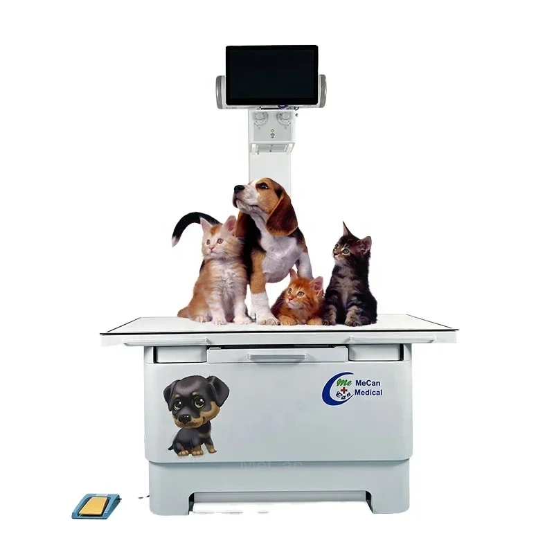 

Dog Xray Machine Digital Veterinary X-Ray Equipment Portable X Ray Machine for Animal