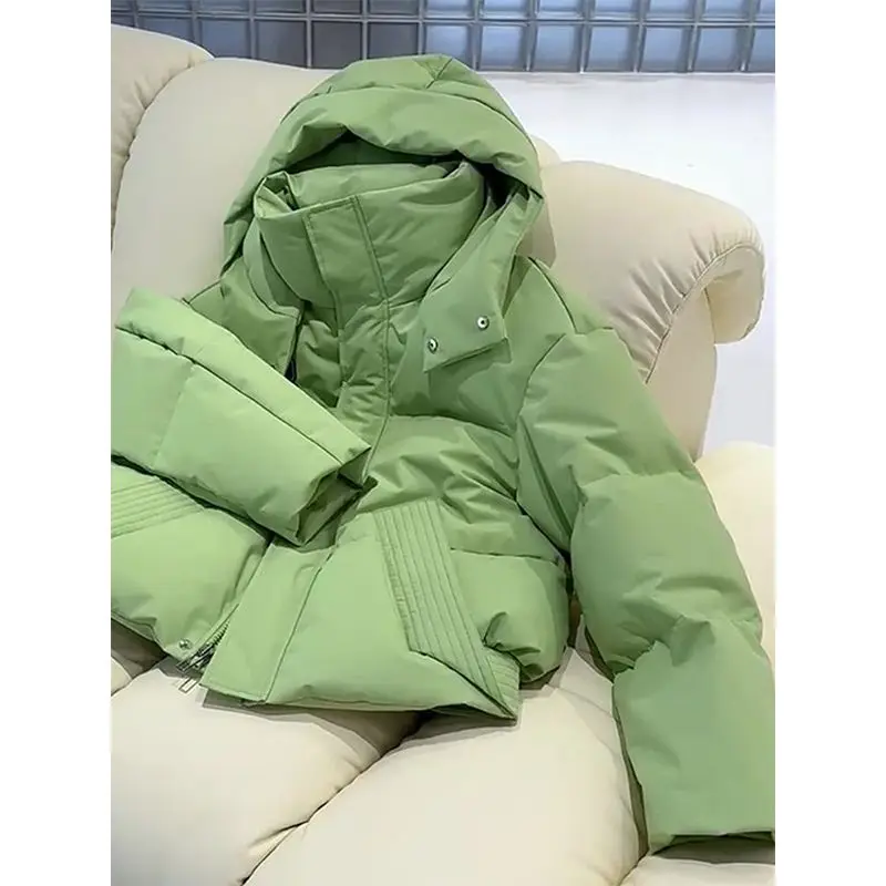 Women Winter Jacket Hooded Parka Winter Puffer Thick Warm Female Down Cotton Coat Zipper Padded Bread Outwear Abrigos De Plumas