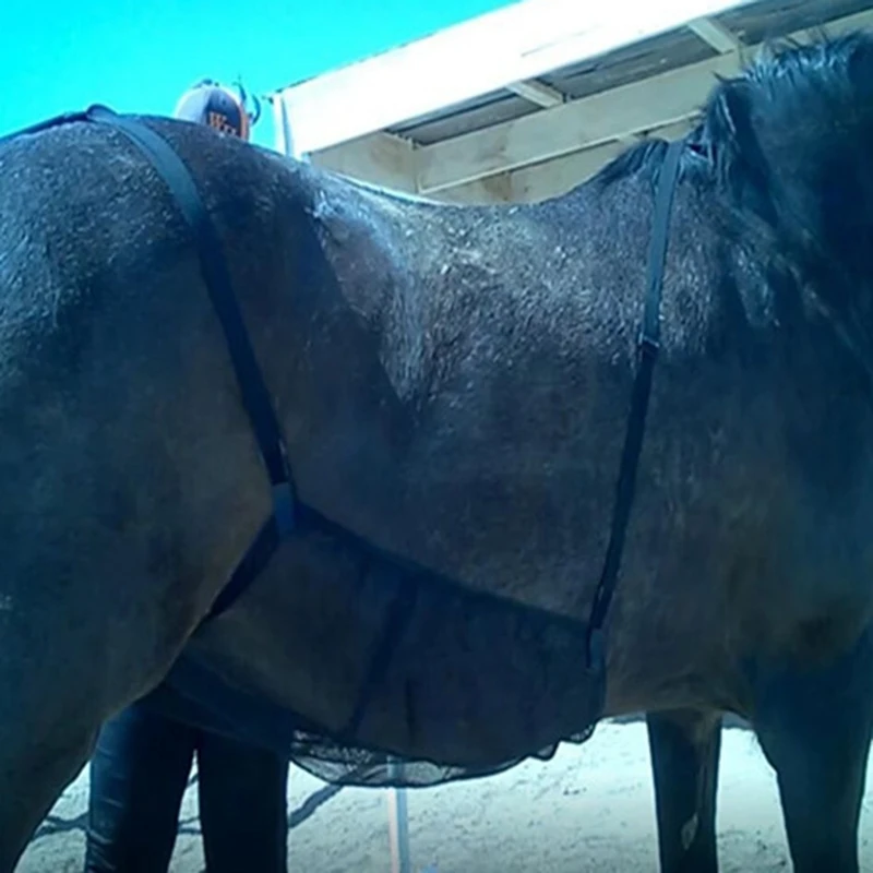 Drap de protection contre les mouches du cheval, couverture anti-moustiques pour l'été