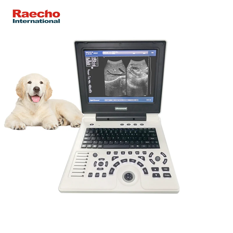 Portable Laptop Ultrasound Machine Veterinary B/W Ultrasound Scanner