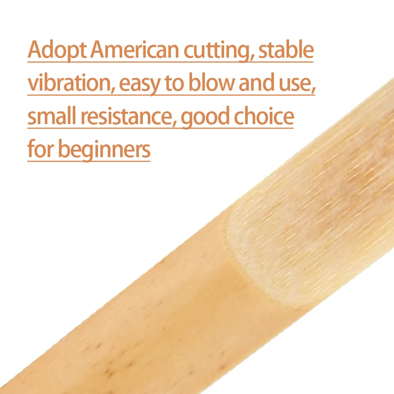 Nuovo Zhongjiang E-Flat 2.5 Ance per sassofono soprano tenore alto per principianti Accessori Ance per principianti Ance di livello ingresso