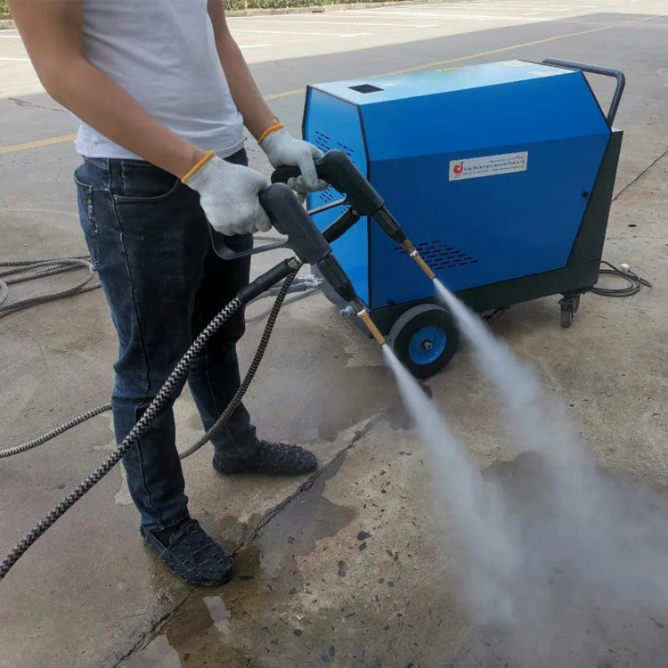 DC/AC 2 ways power supply mobile high pressure steam car washer 20bar steam cleaner with two steam cleaner pistols