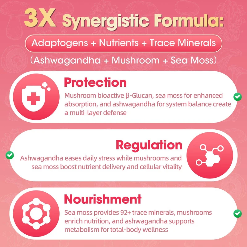 علكات الفطر 2500 ملغ تحتوي على مستخلصات ذيل الأسد والكورديسيبس سينينسيس واللينغزي والشاجيا والديك الرومي لدعم المناعة