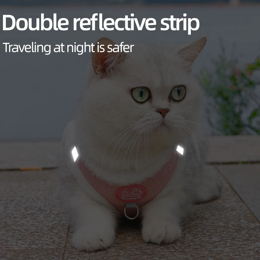 Thumbnail 3 - #73 Top Puppy Leads Picks for Every Budget