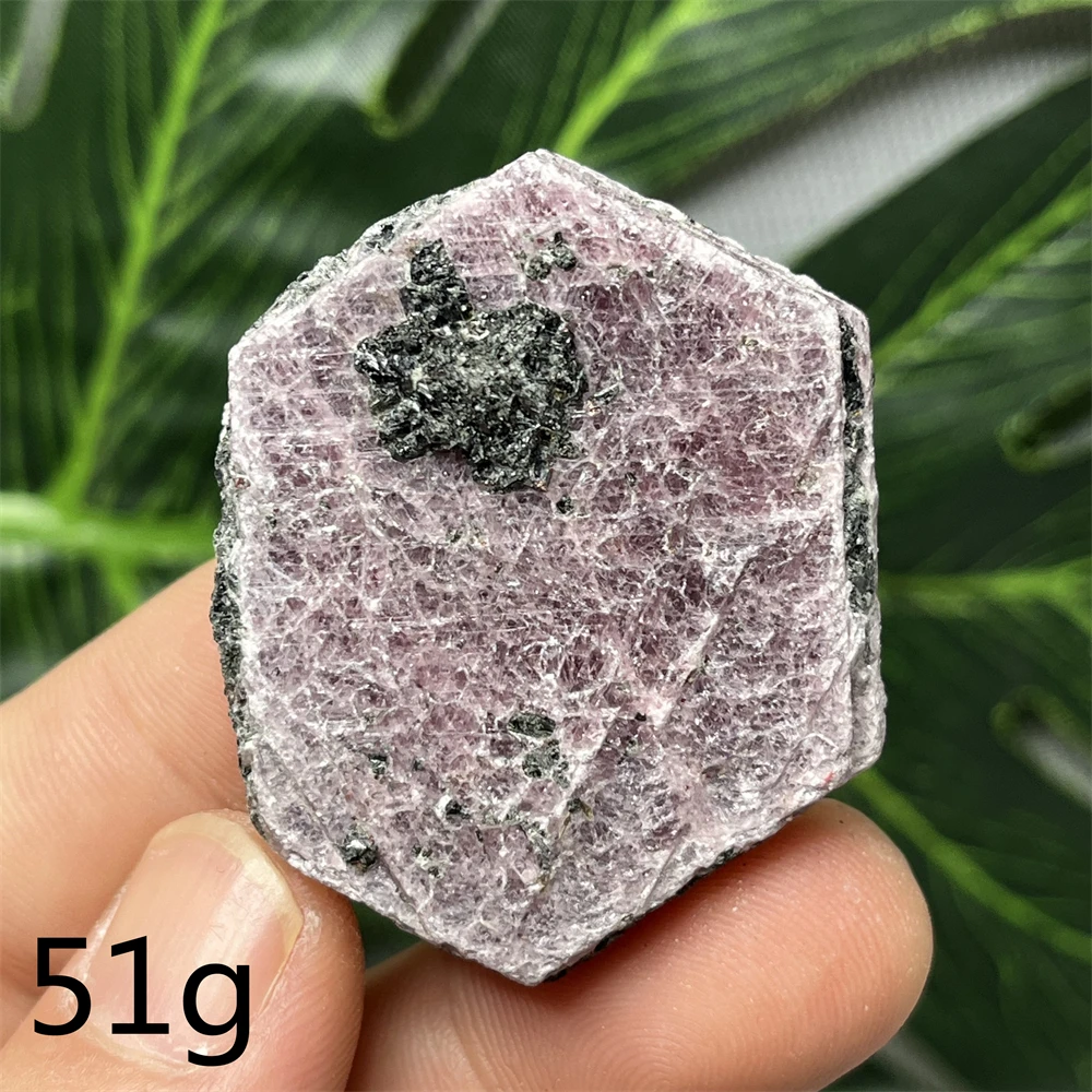 Natural Gemstone Ruby Particle Crystal Black Mica Tourmaline Symbiotic Mineral Specimen Home Room Decoration Collection Healing