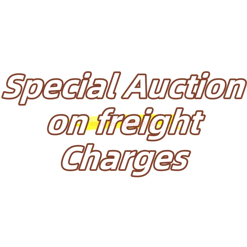 

23DD Pay Extra For Your Order Shipping Costs