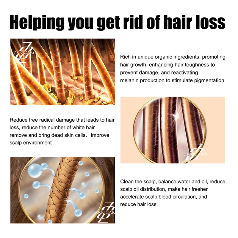 Dتتلقى المغذيات والشعر على شكل نباتات.