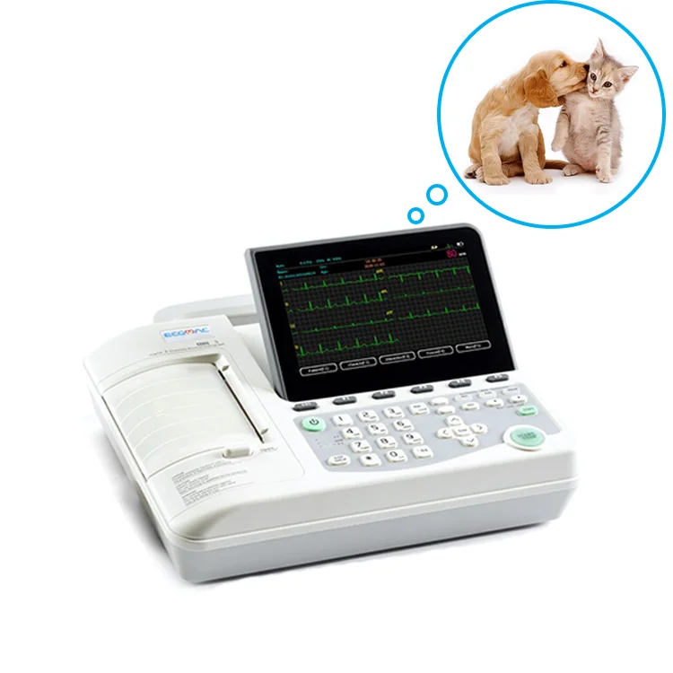 Portable 3/6 Channel Lead Veterinary ECG Ekg Machine Device for Animals Built-in Thermal Printer