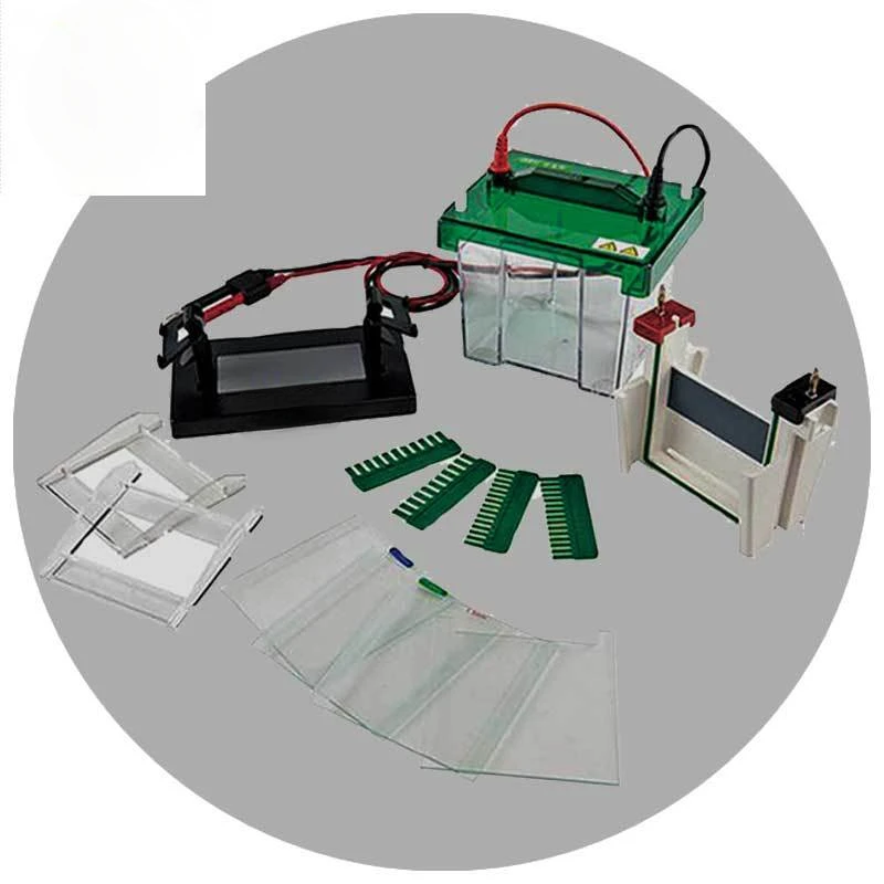 CINA in stock Macchina per elettroforesi da laboratorio con apparecchio per elettroforesi cellulare