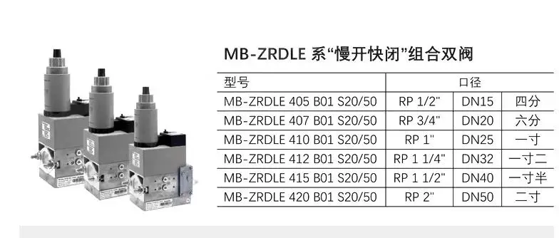 DUNGS MB-ZRDLE series slow opening and fast closing combination double valve,MB-ZRDLE415B01S20