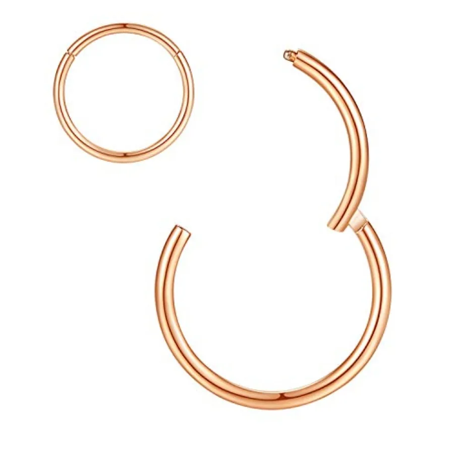 

Hypoallergenic Nose Rings 20G 18G 16G 14G 12G 10G 8G 316l Surgical Steel Septum Jewelry Hinged Segment Ring Body Piercing Nose