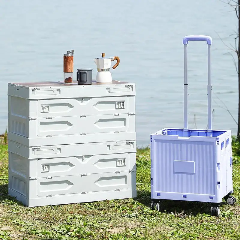 

Ящик для хранения для кемпинга на открытом воздухе, органайзер для пикника, ящик для хранения в багажнике автомобиля, современный простой стиль, пластиковый материал, универсальное применение