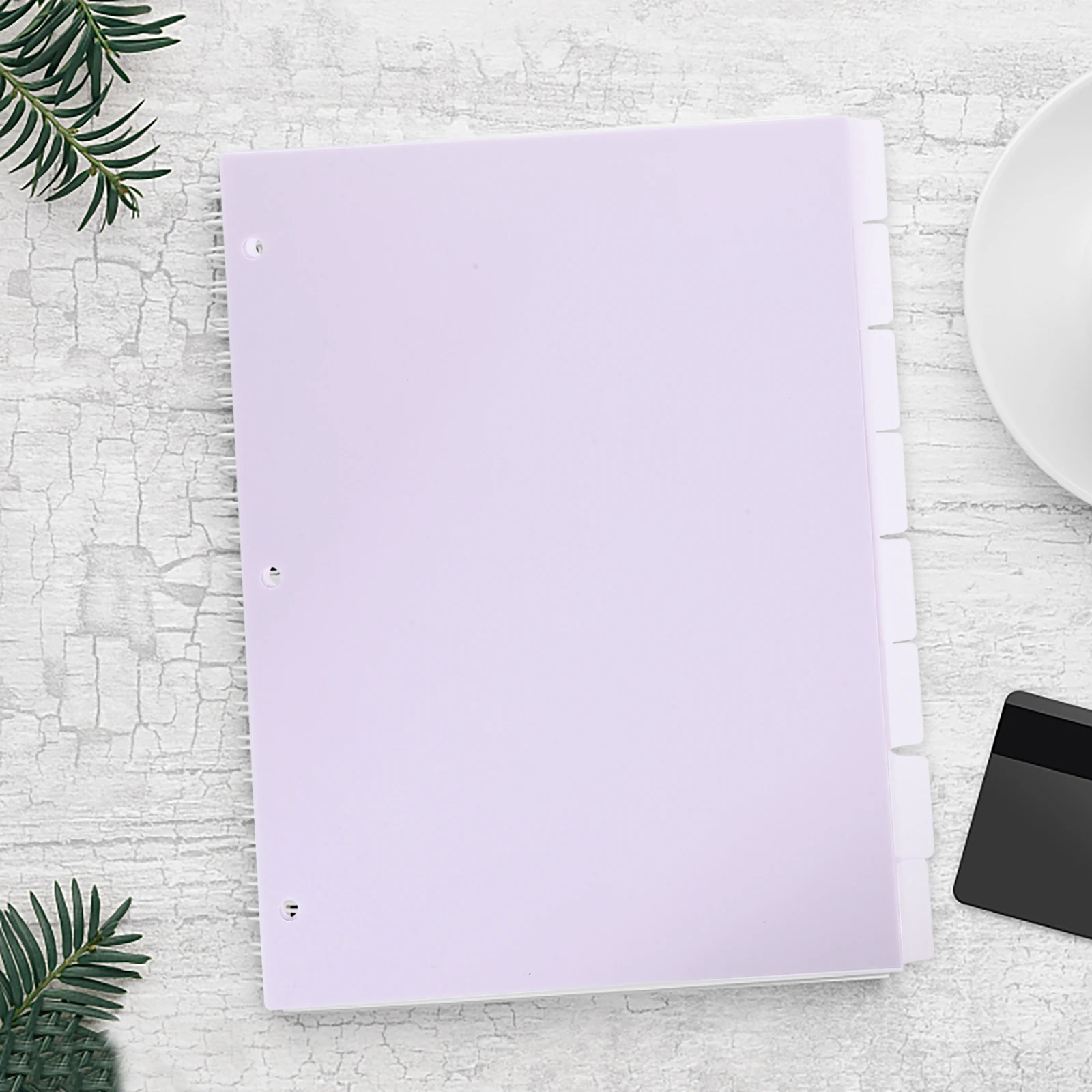 

Partition Plate Clear Binder Dividers Index Page Book Aesthetic Tabs Colored Tag