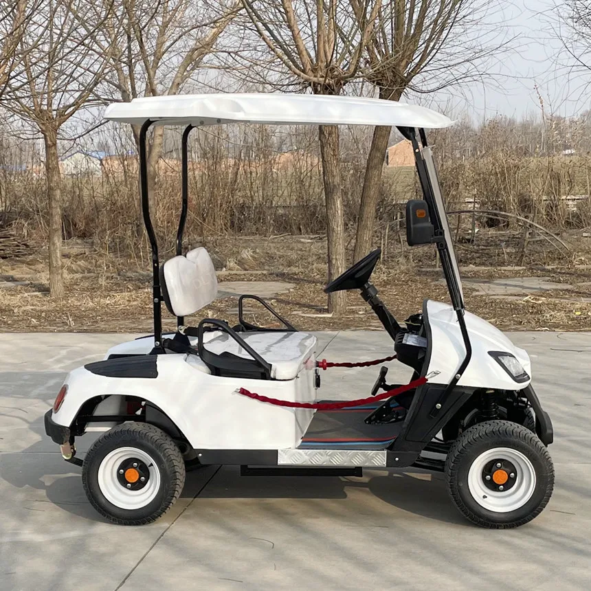 Electric Golf Cart 5000W AC System Luxury Electric Golf Cart Safety Protective Chain Four Wheeler Golf Cart Model A 2 Seat