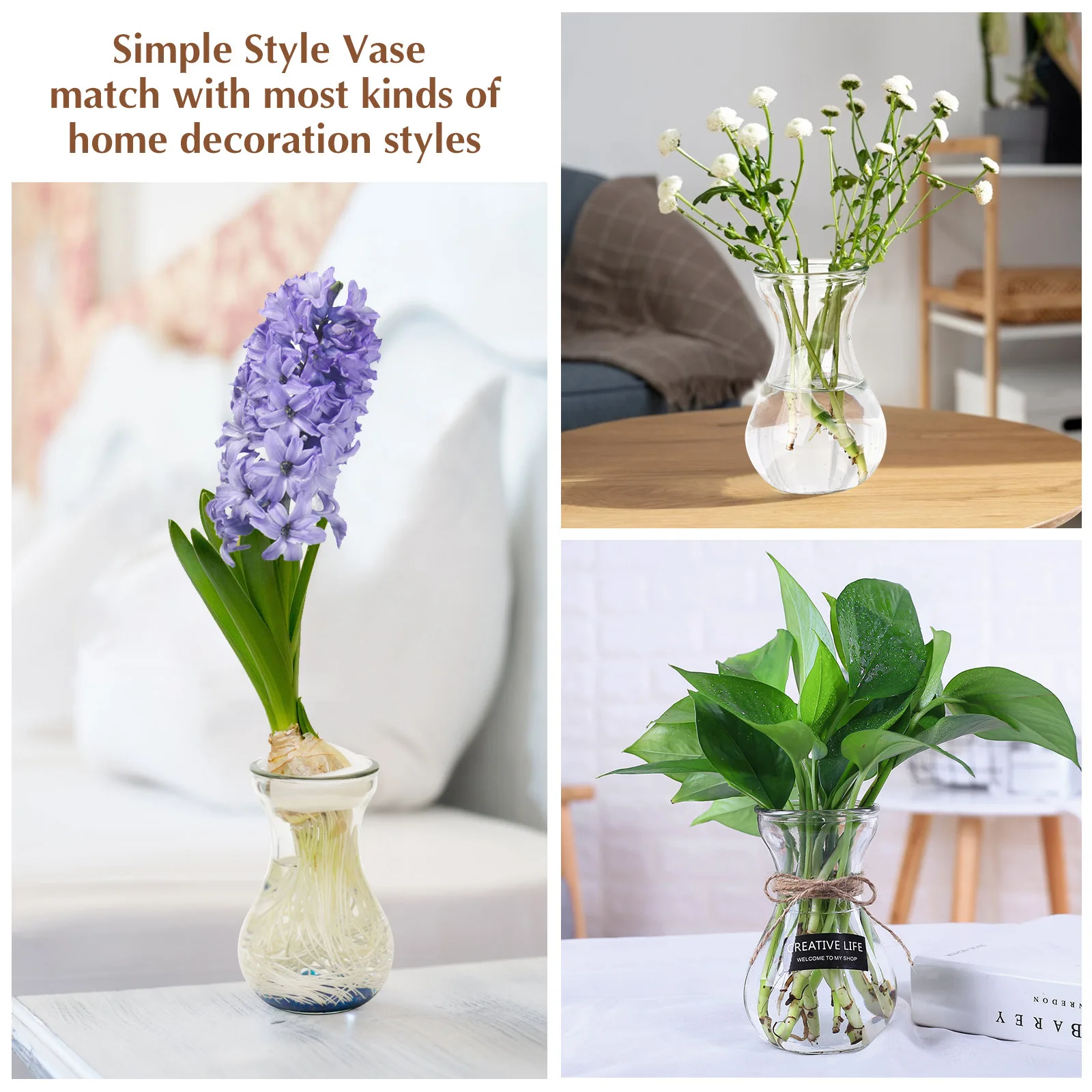 

4Pcs Glass Vase Creative Design Clear Bud Vase for Hyacinth Office Decoration Floral Arrangement Plant Planter
