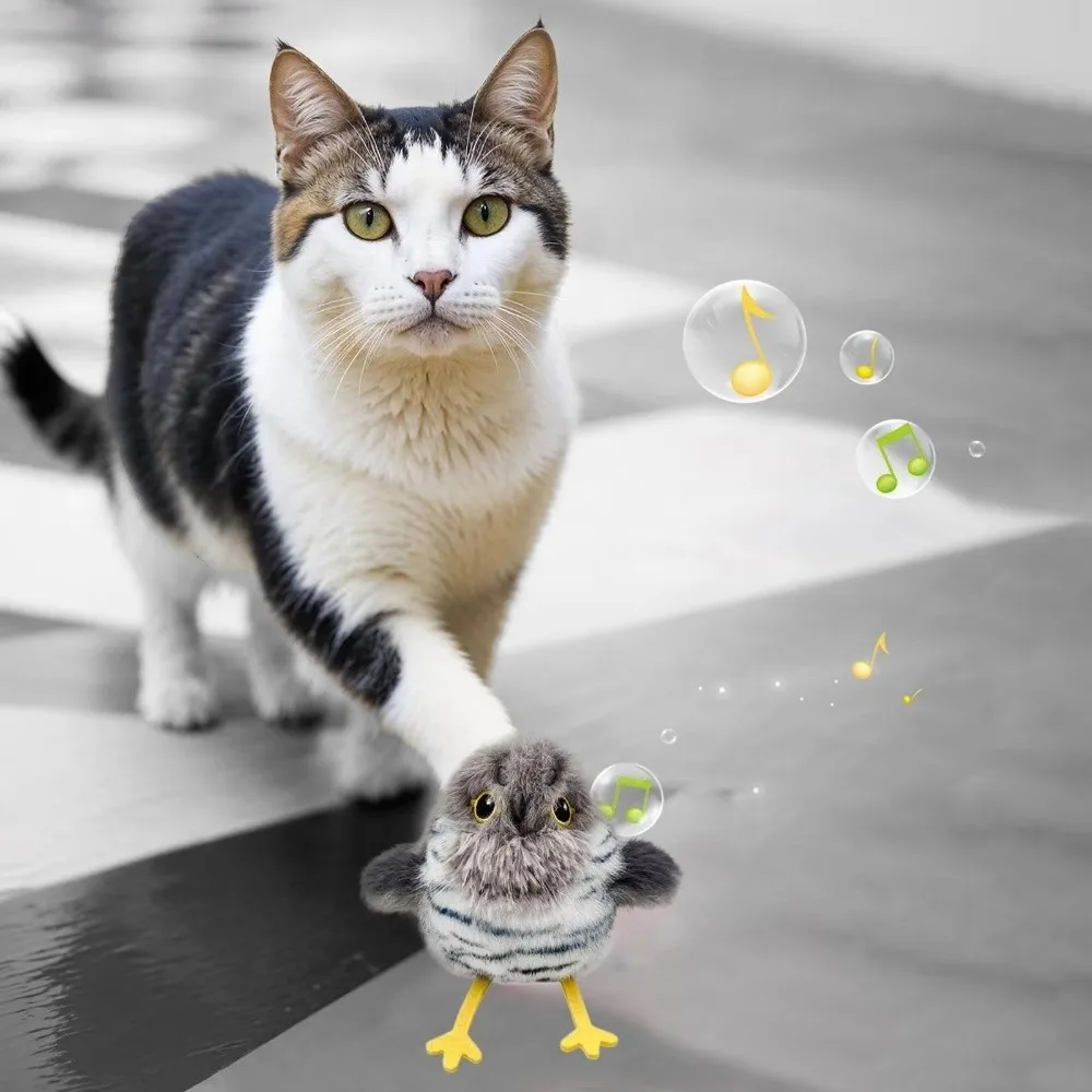 

Электрическая игрушка для птиц, перезаряжаемая от USB, скрипучий звук, интерактивная игрушка для кошек, автоматическая танцевальная сенсорная активация