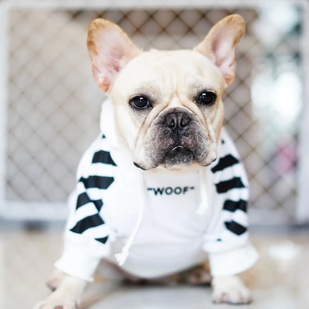 

Stripe Pattern Pet Dog Hoodie Comfortable Soft Dog Hooded Pullover Polyester Windproof Dog Thickened Sweatshirt for Puppy Cats