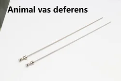 Cattle vas deferens for animal husbandry, specialized metal insemination tubes for cattle