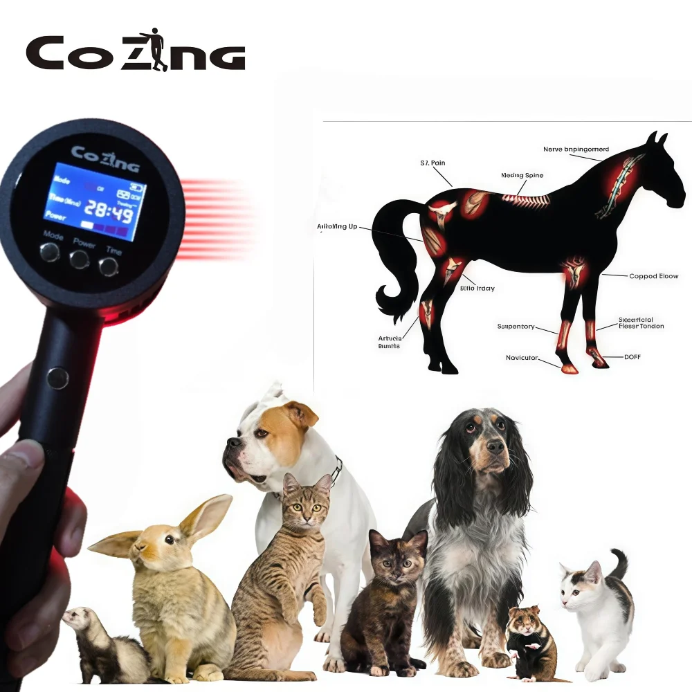 

Dual-Wavelength Veterinary Laser Therapy Machine 19*650nm + 6*808nm for Fast Pain & Inflammation Relief in Pets