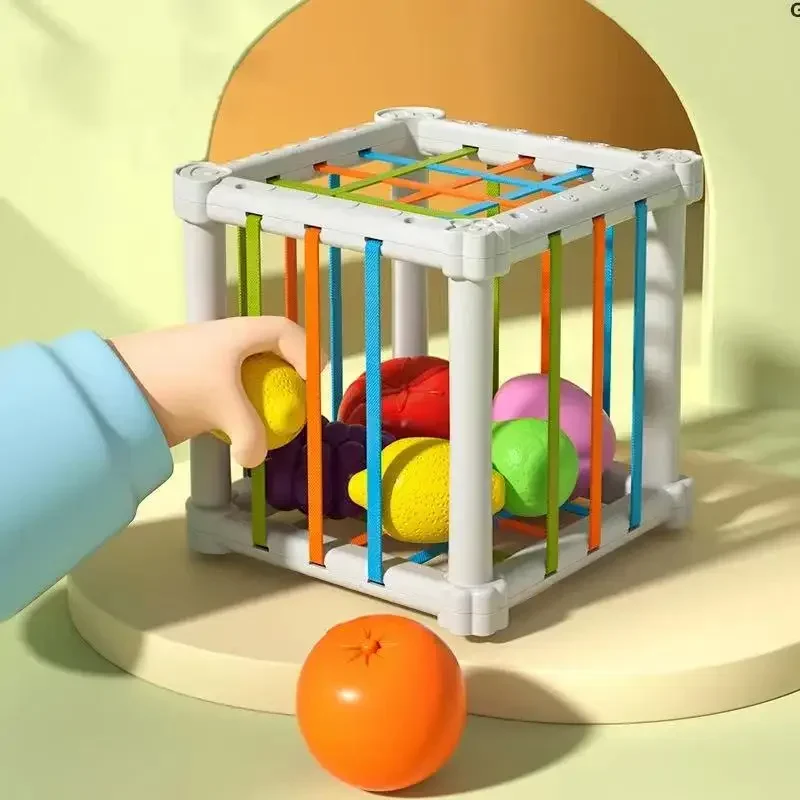 Toy Rainbow Fruit Cecil Cognitive Matching Infant Toy Puzzle Early Education Enlightenment Grasp Training image 2