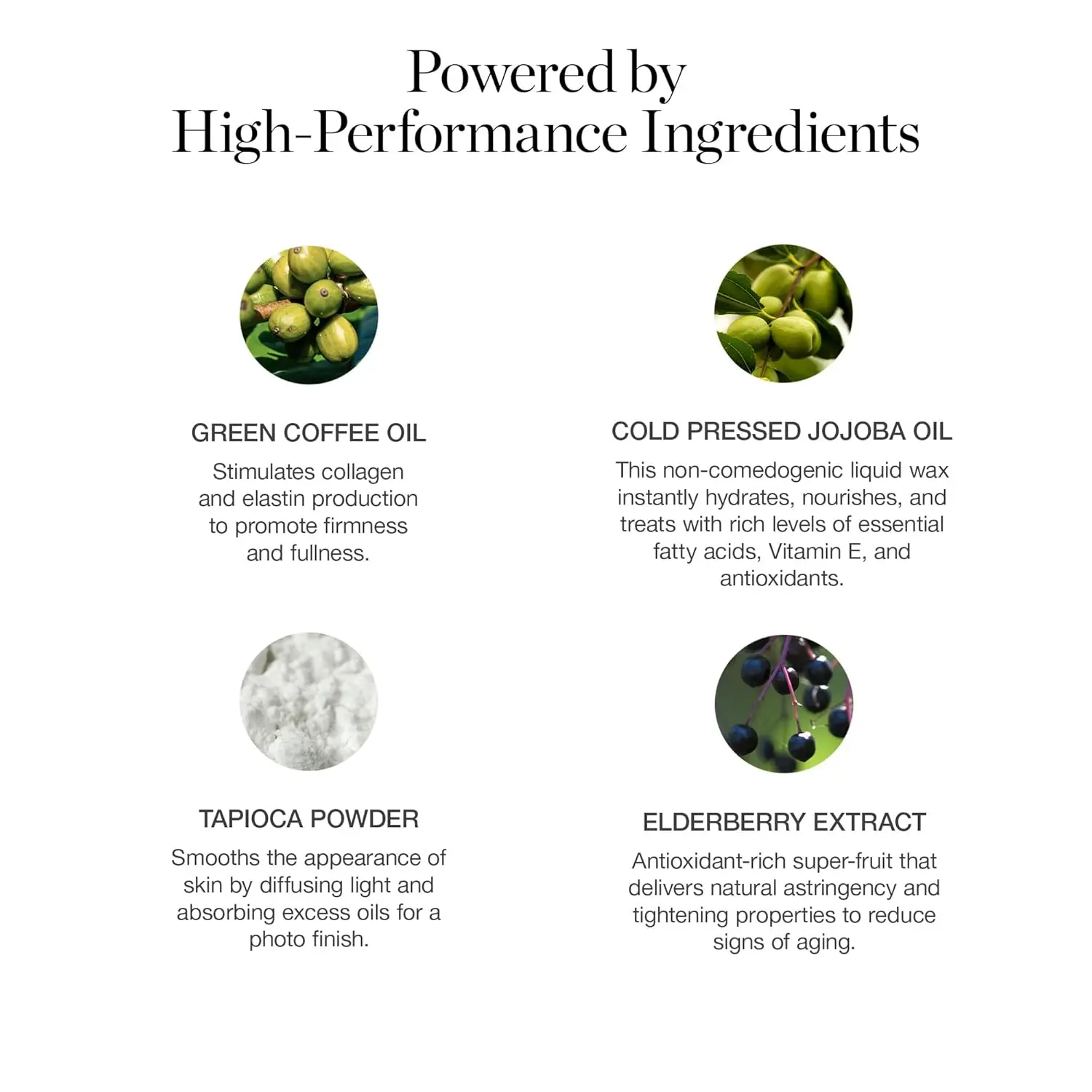 Bronze & Blend Duo: set di pennelli per bronzer e frullatore organici per un trucco impeccabile