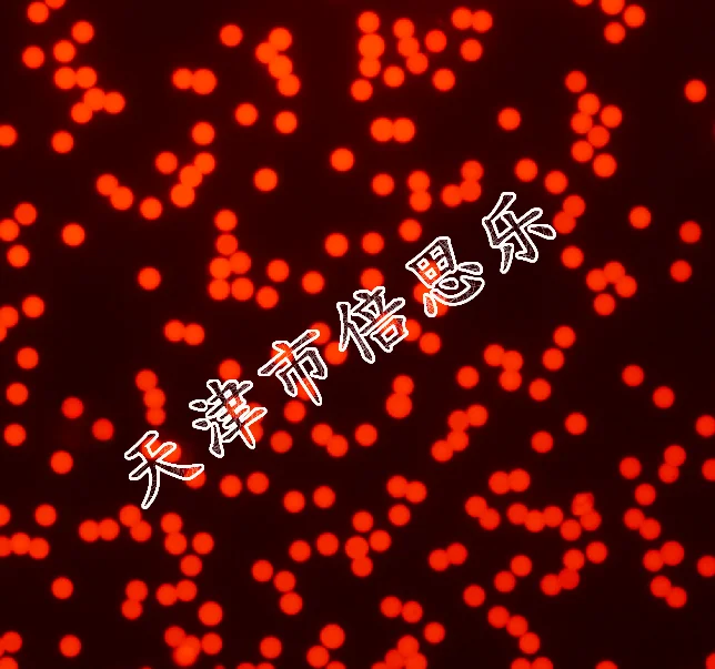 Microesferas fluorescentes de polivinilo, microesferas fluorescentes de polivinilo, rojo Ex 620nm Em680nm
