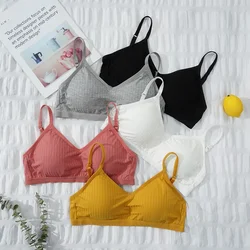 Elastic Gathering Bralette Push Up Bra Summer Spring Anti-light Korean Style Wild Solid Color Tube Top Sexy Wire Free Bra