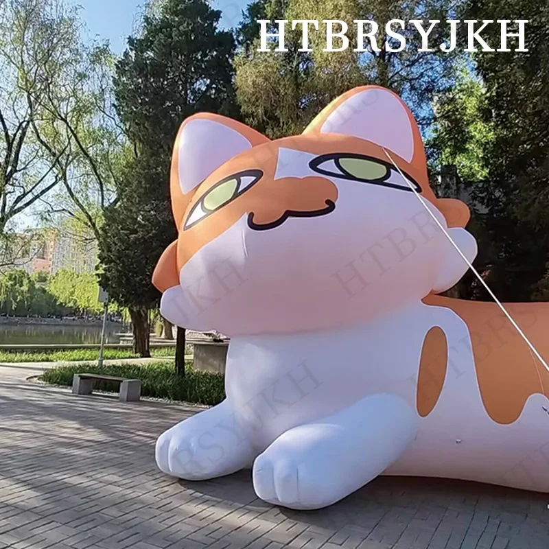 

Giant inflatable cats, animal-based air models with blowers, outdoor grassland park/square decoration props