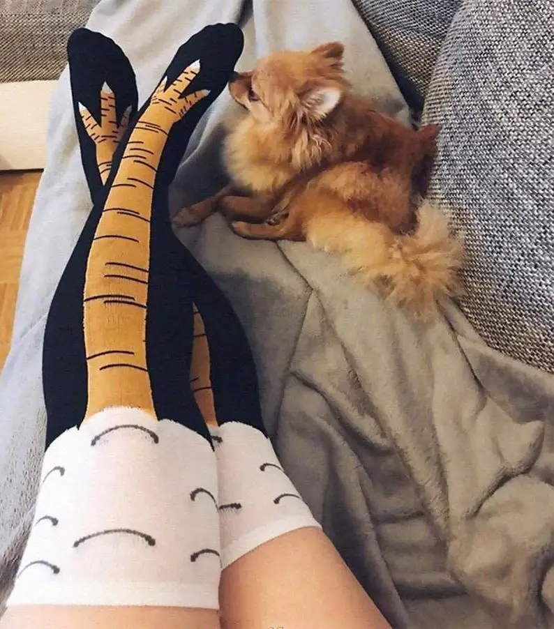 Funny Chicken Paw Stocking Over-knee Pressure Thin Leg Long Stockings Women Spring Autumn Winter Middle High School Girls Socks