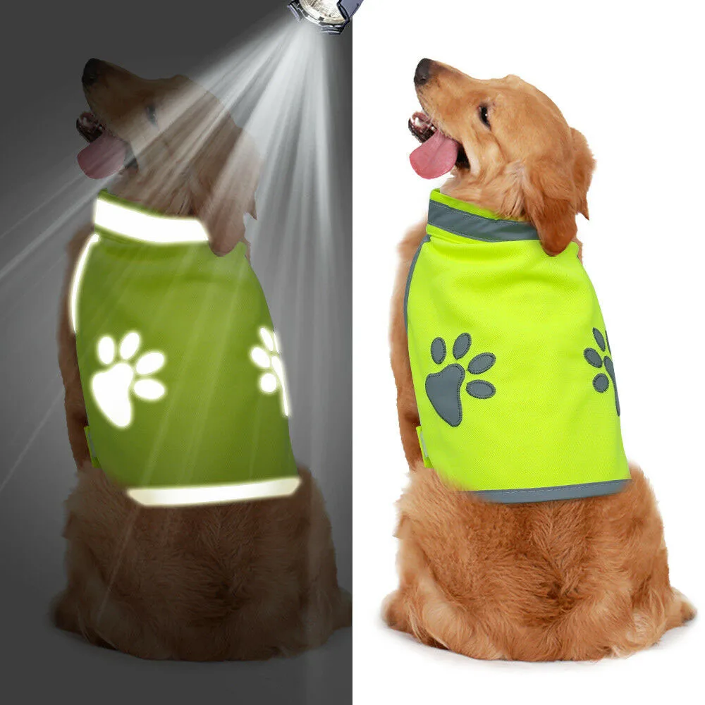 Veste fluorescente d'extérieur pour chien, gilet réfléchissant pour animaux de compagnie, manteau haute visibilité, gilet de sécurité pour animaux de compagnie