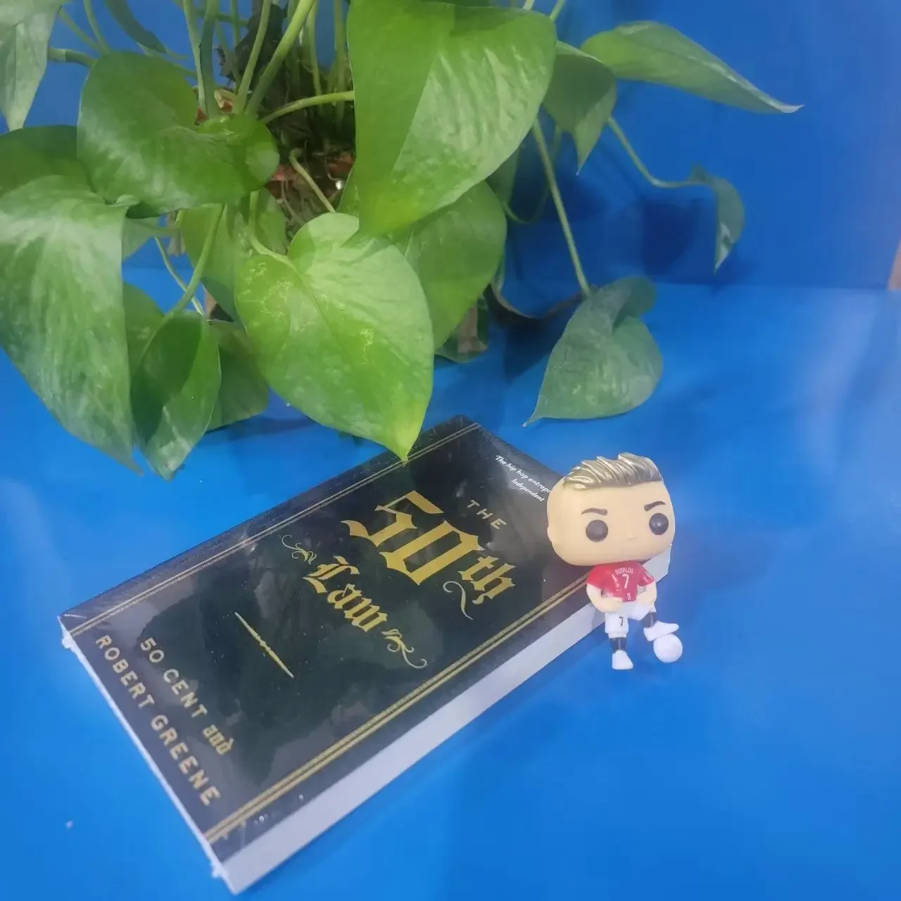 

50 Point Rule English Version Of Management Book The 50th Law Management Category Books