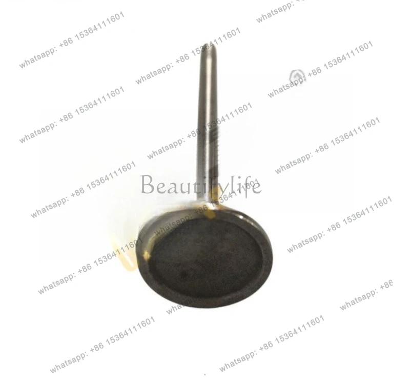 

Applicable to 300C exhaust valve 4663902 car and motorcycle parts
