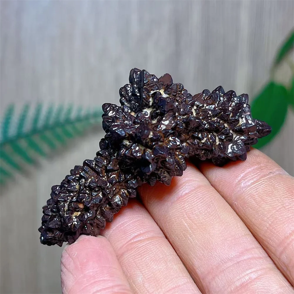 

Prophecy Stone Quartz Specimen Crystal Natural Kong Kim Gemstone Spiritual Specimen Reiki Healing Minerals Home Decoration