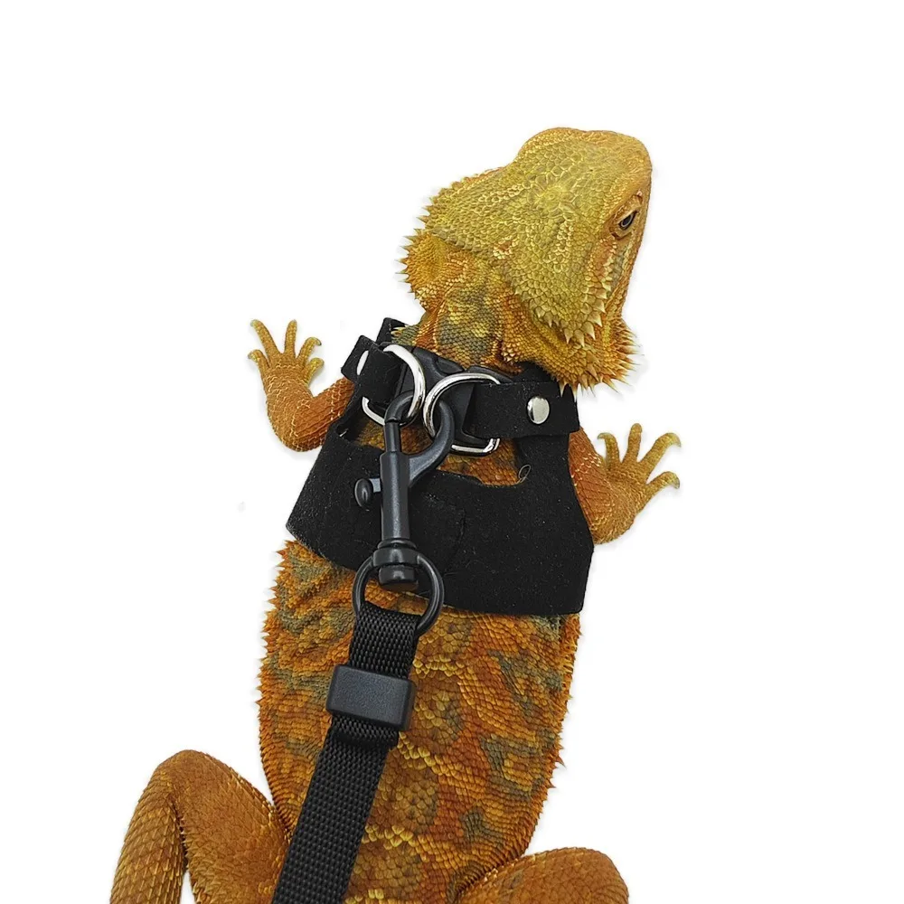 بو الجلود الزواحف تسخير قابل للتعديل 3 حجم سترة الحيوانات الأليفة التدريب يسخر أسود براون لينة الزواحف المشي المقود للحيوانات الصغيرة