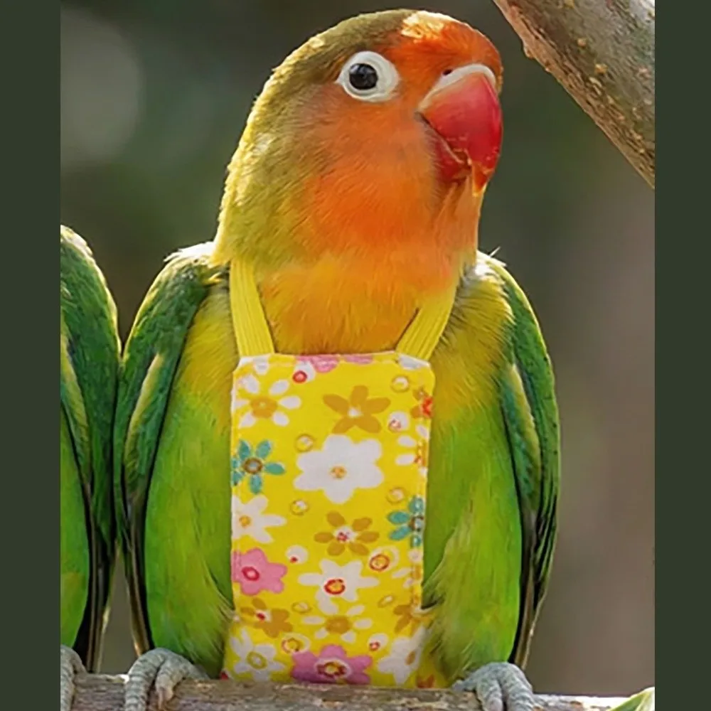Arnés de vuelo ajustable y seguro para pájaros, a prueba de escape, con bolsillo para excrementos, arnés transpirable para loros, cuerda de tracción para pájaros, suministros para aves.