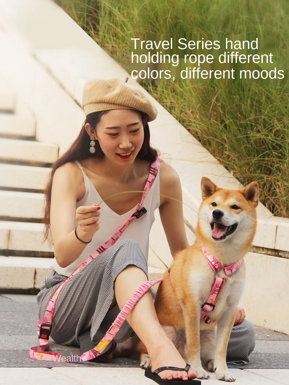 Fashion 2.5m back dog harness no pull Free Hands Small Medium Designer  leash running belt Dog accessories Pet Products