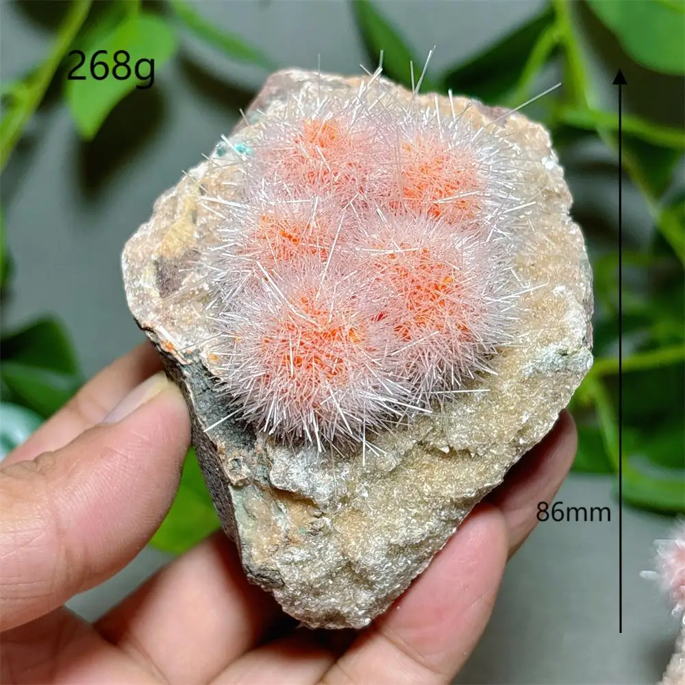 

Dandelion Stone Flower Specimen Raw Crystal Natural Stone Quartz Stone Minerals Home Decoration Garden Reiki Energy Healing Luck