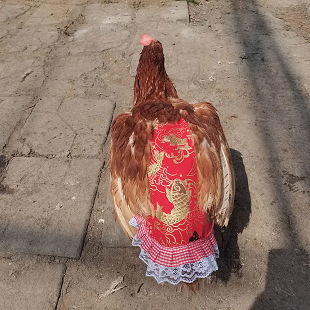 Hen Apron Feather Retainer Duck Goose Poultry Double Apron Back Protector Lace Edge Poultry Decorative Accessories Pet Products