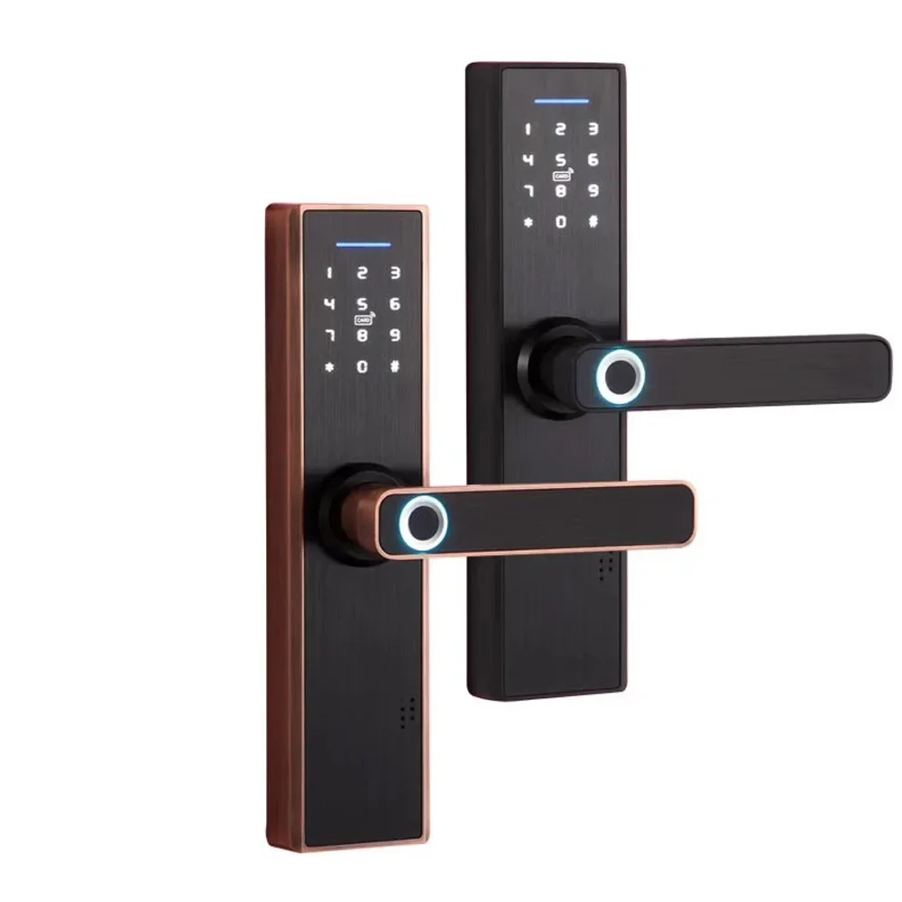 Indoor Wooden Door Lock, Full Lock, Bluetooth, Intelligent Lock, Fingerprint Lock, Graaffiti, WiFi