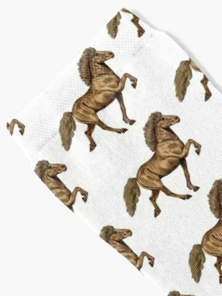 1930s Icelandic Socks designer brand hiphop funny sock man Women Socks Men's