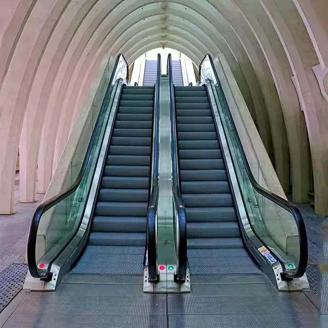 Home Passenger Indoor Escalator for Airport Vvvf Electric Stainless Steel FUJI Brand Escalator