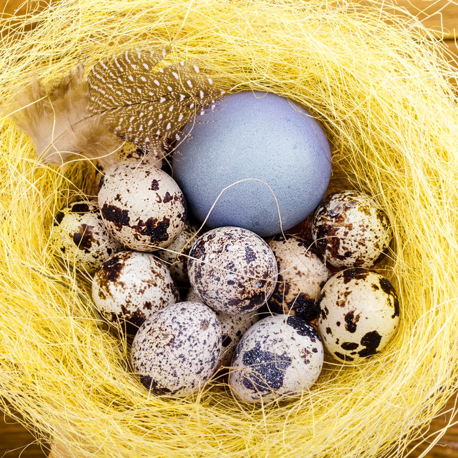 6Pcs Natural Raffia Silk Bird Nest Filler for Finches Canaries Nest Building Digging Hiding Comfortable Breathable