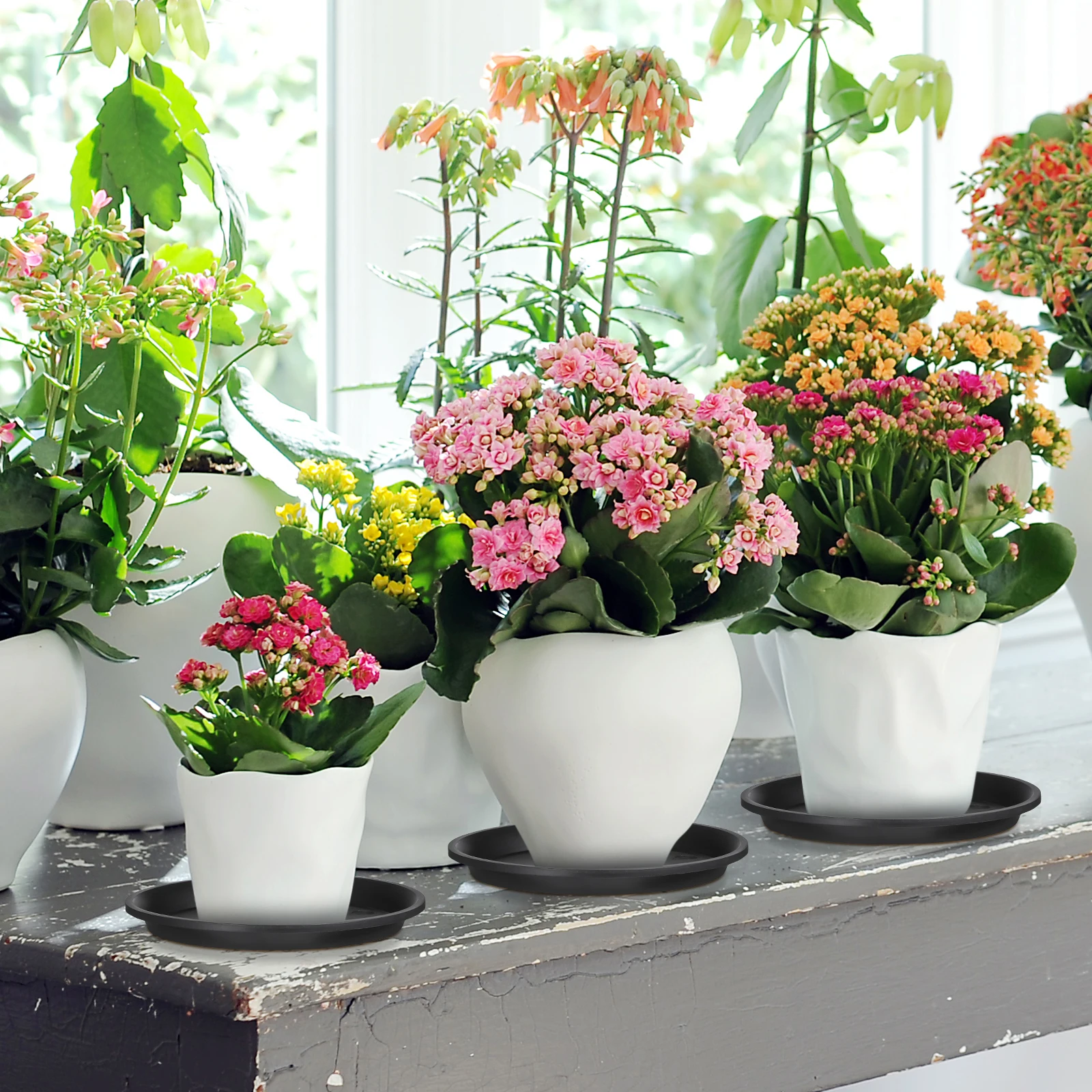 

10 Pcs Plant Pot Saucer Flowerpot Long Life Anti Aging Indoor Pots Bottom Trays Gardening Water Trays Bonsai Plates Flower