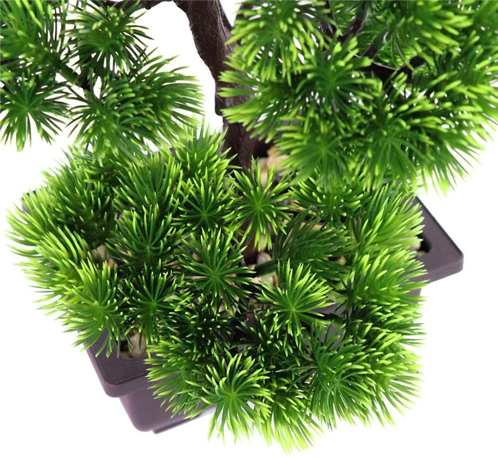 Japanese Pine Bonsai Plant for Home Decoration, Potted House Plants, Desktop Display, 33 cm in Height