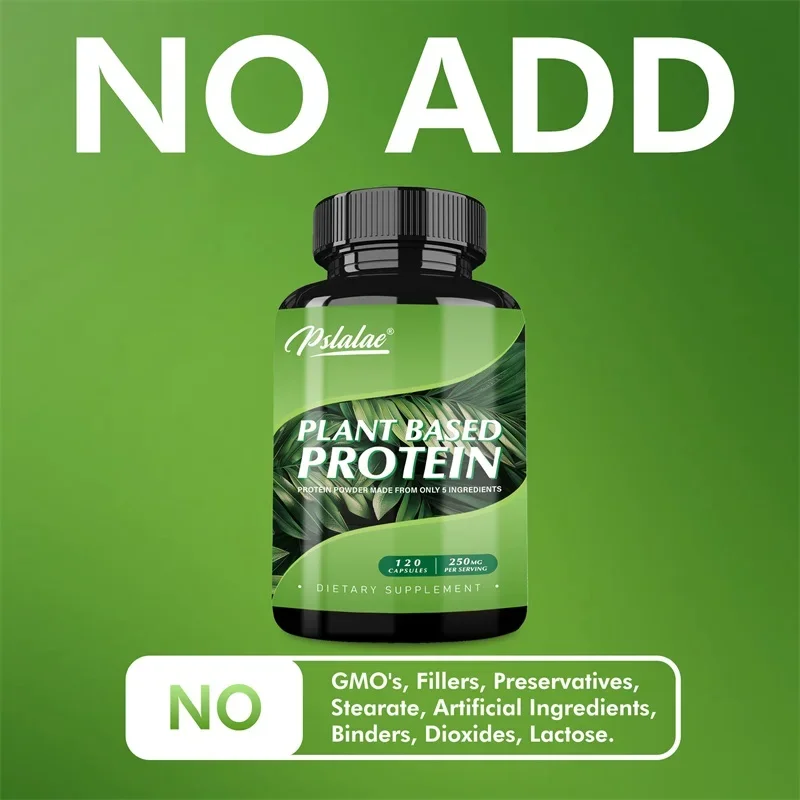 Plant Based Protein Supplement - Promotes Intestinal Health, Antioxidant, Digestive Support