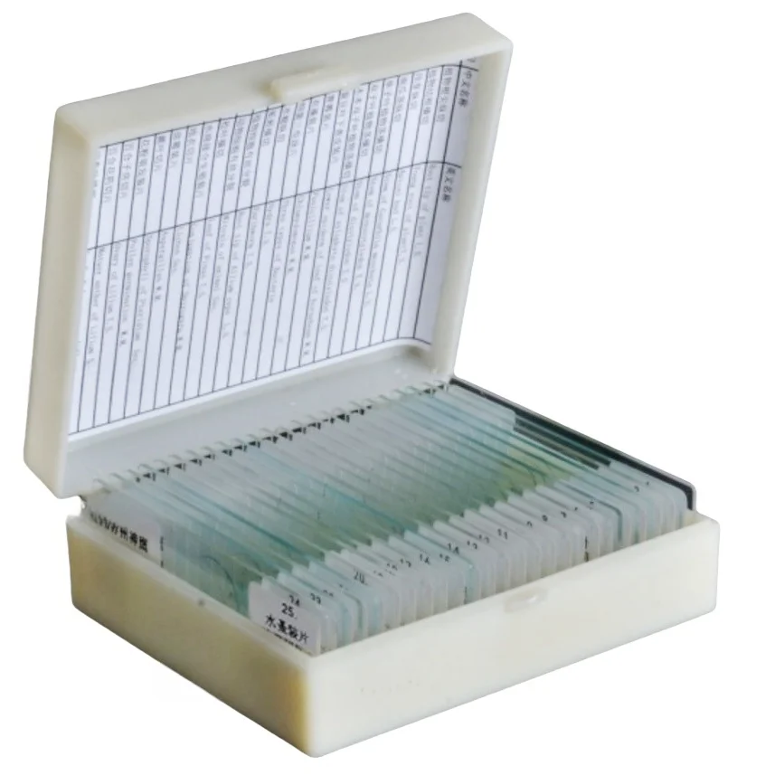 25PC Slices Microscope Slides Plants Animal Human Tissue Specimen Water Flea Sample Section Biological Permanent Slicing Lab